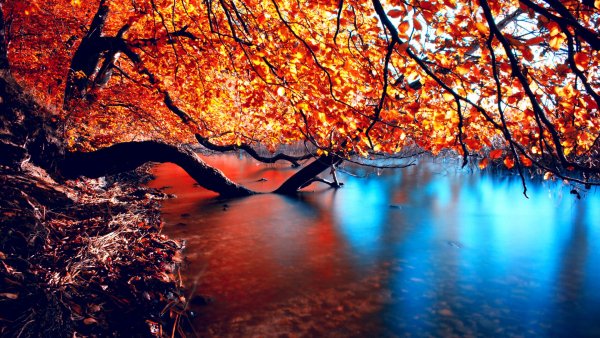 file_69566275