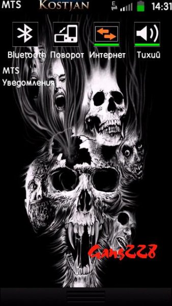 Skin skuls Веllе ТорВаr.Gаng228