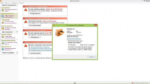 Reg Organizer 6.33 Final RePack