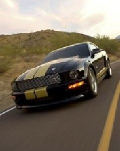 MUSTANG