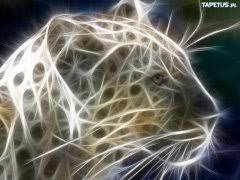 images-5