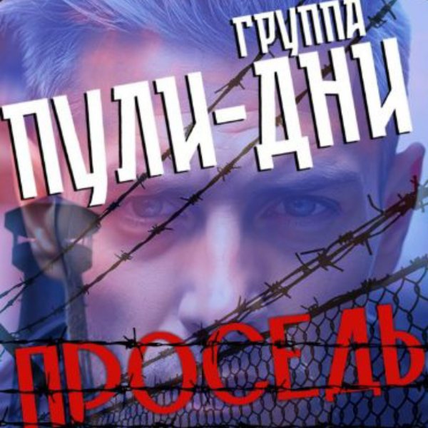 Группа Пули-Дни - Проседь