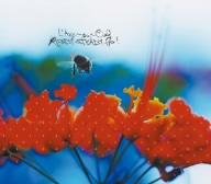 LArcenCiel - READY STEADY GO yukihiroless version