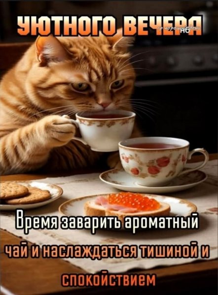 4bb0ccbec0e4ccf3caa193d5631f0497