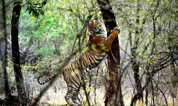 f.0.360.0
