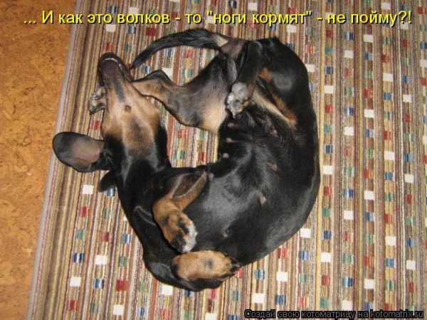 И то верно! ))