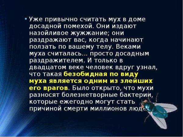 Мухи