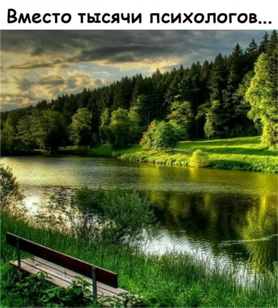 picture_307375214