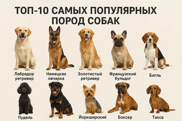 На заметку