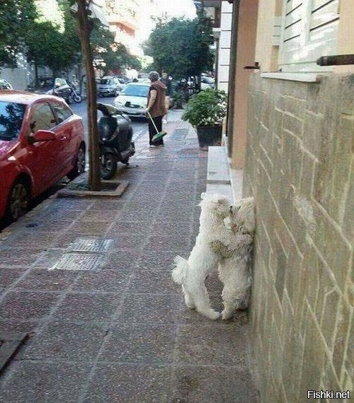 ))