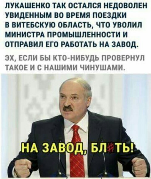 p.800.800.0