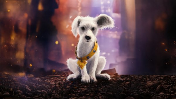 Krypto-supergirl-2026-movie-4k 642@5@q