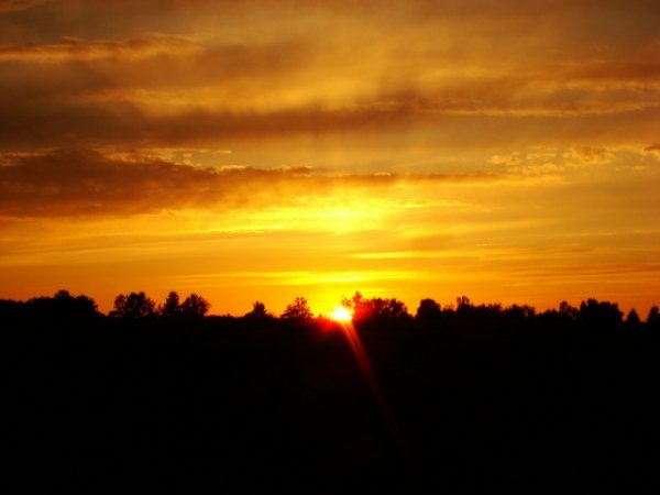 picture_416066684
