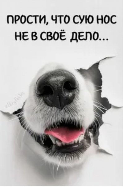 Не в своё дело...