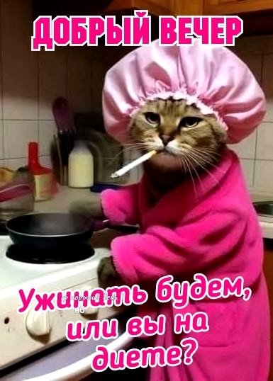 e204ef6d34e1f164bd5ecdee68afa