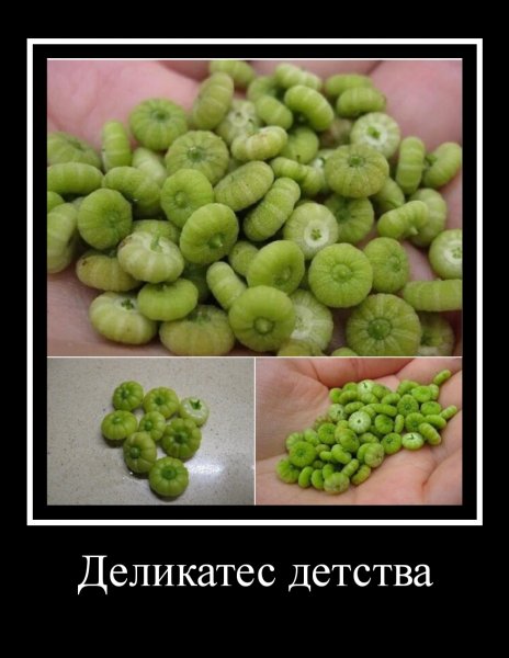 mydem 742
