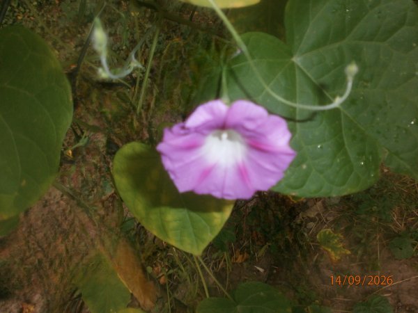 P9140007