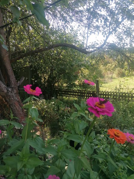 IMG 20240821 153841