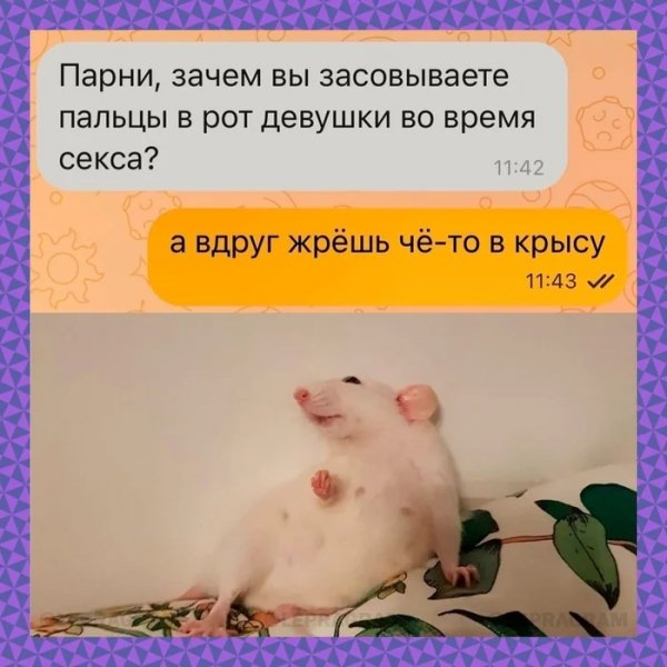 Av6xv3zy