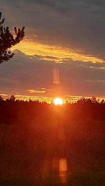 picture_354797925