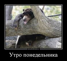 pics