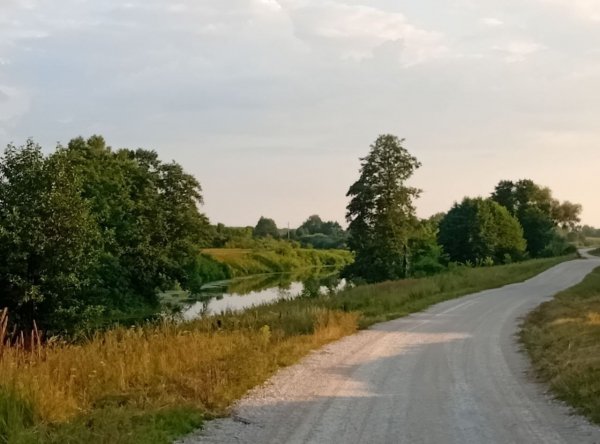 picture_396021044