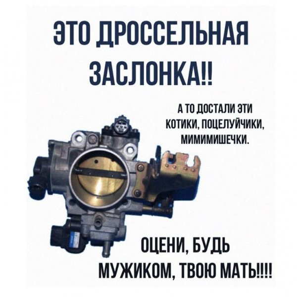 Dd0334b5