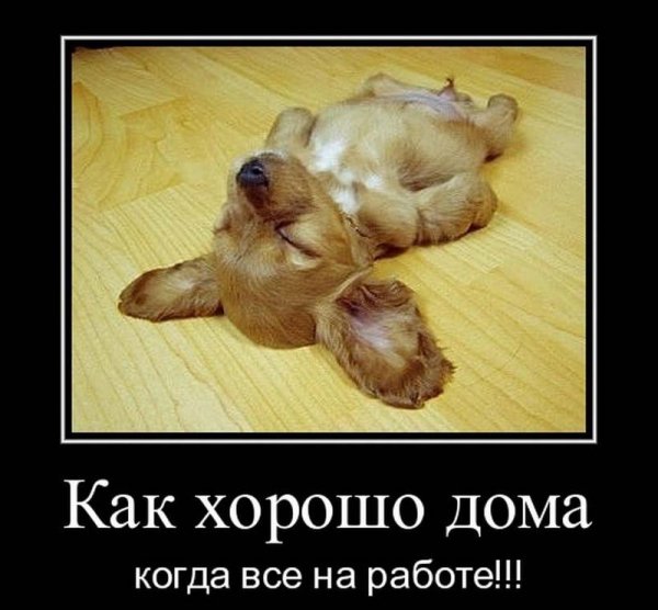 pics