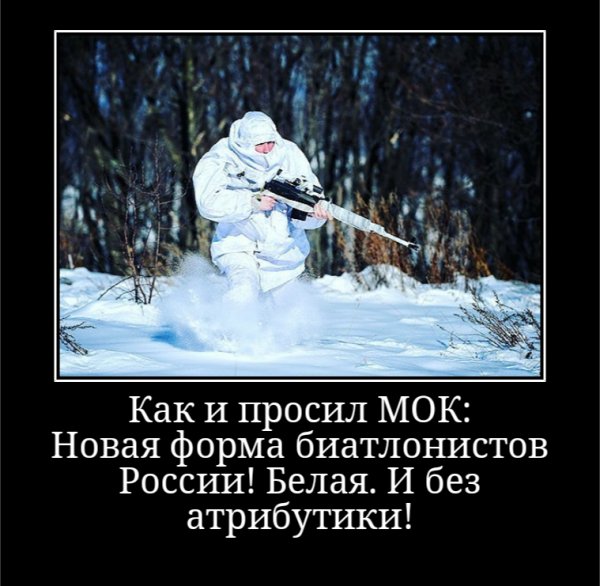 picture_194497745