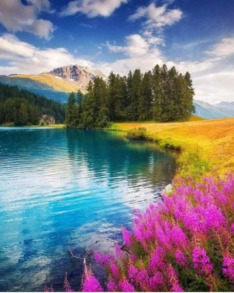 IMG 20190522 225919