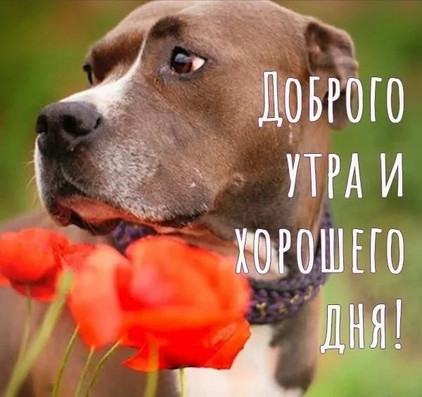 Всем вам!