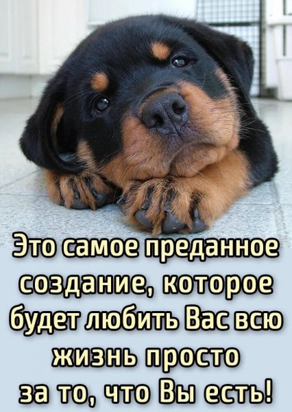 0Get8Swzm6Q