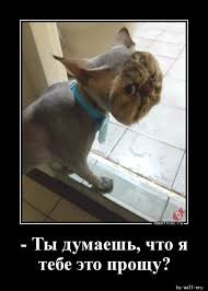 pics
