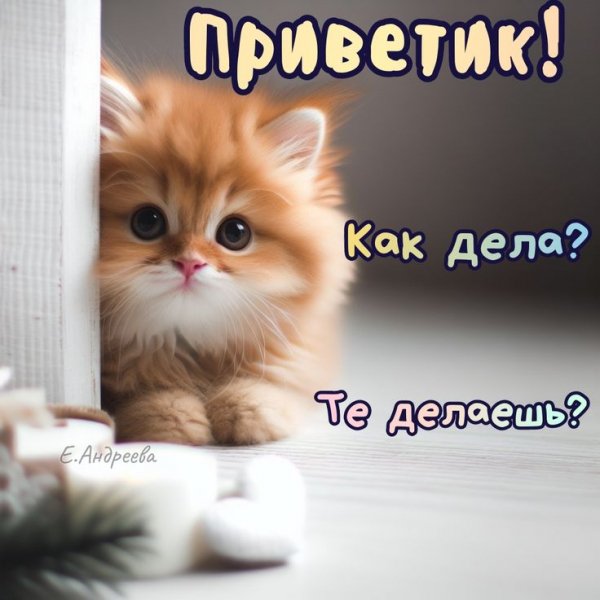 F5c882802d3b2c8ef49d7a3b86edaecb