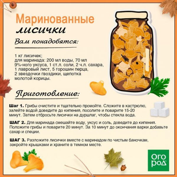 Маринованные лисички