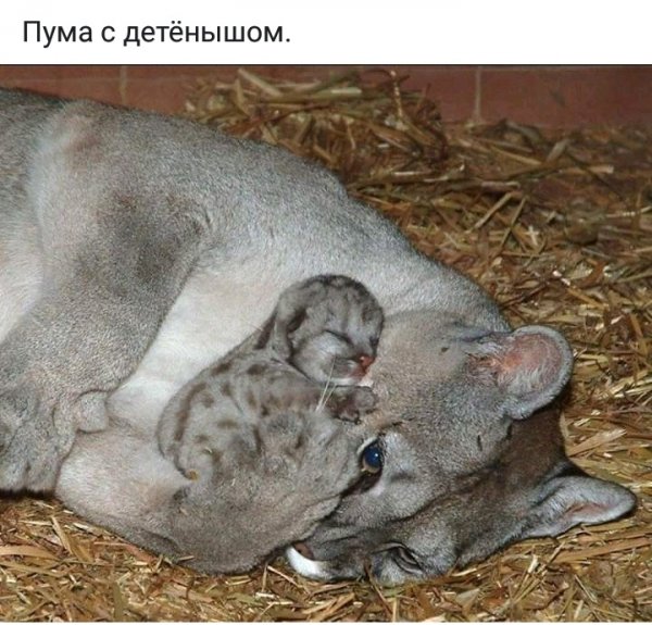 IMG 20190406 162000