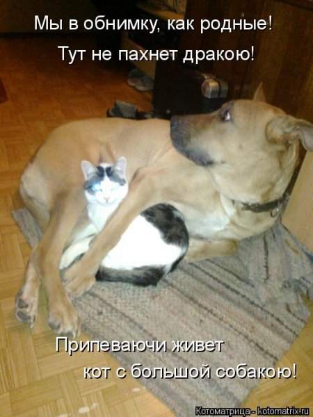 Да!