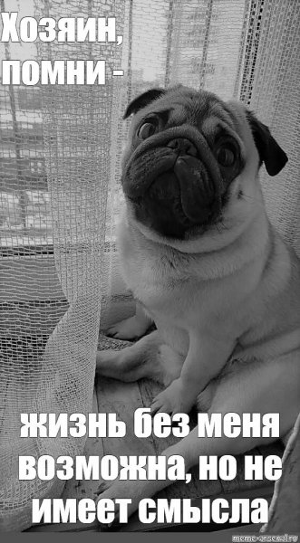 Но не имеет смысла