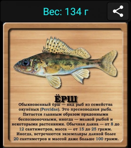 Ёрш