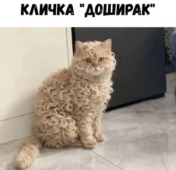 WekMFR75on