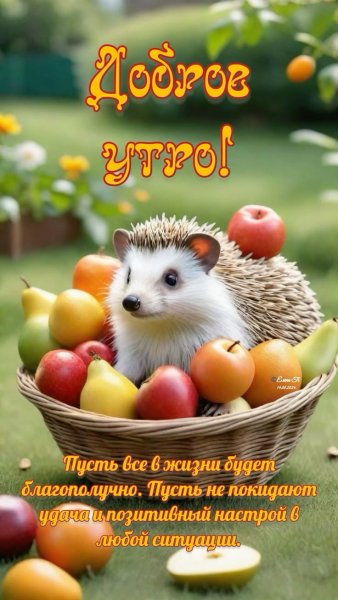 C265ce53a3b3eb2f7e06efe242eea6ba