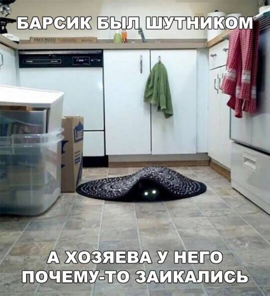 Барсик был шутником