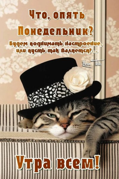Утра всем!