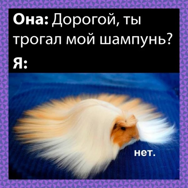 Ar6ro346