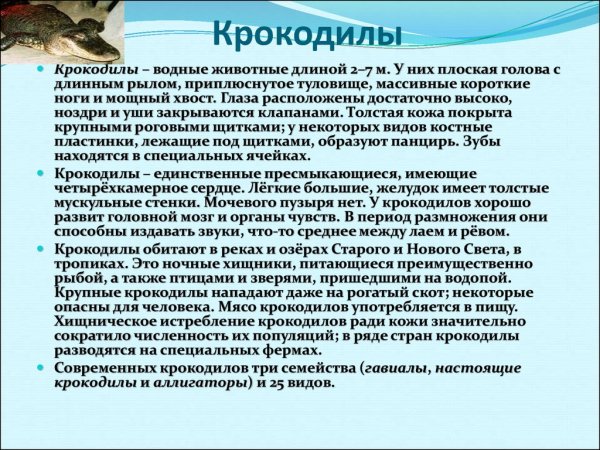 Крокодилы