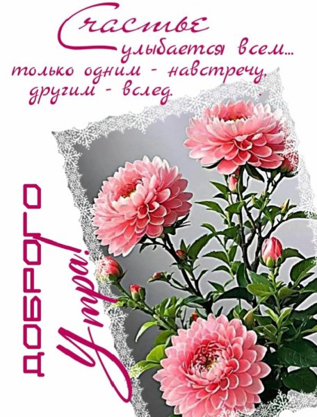 Друзья мои!