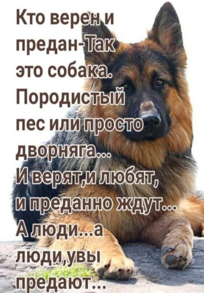 Истина!