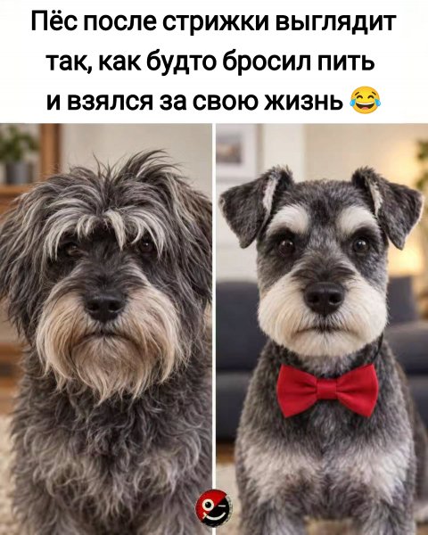 Подшился)))