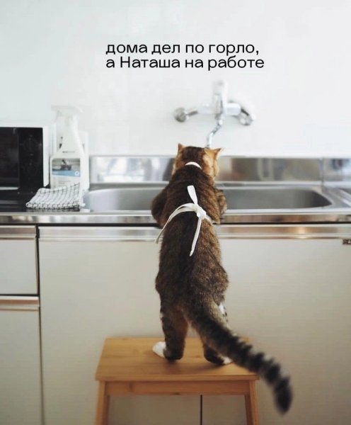 Да! ))