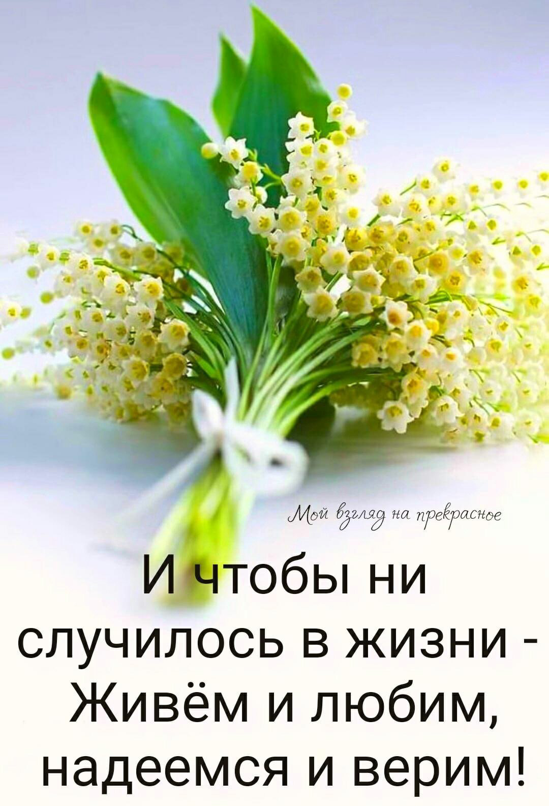 file_90079326